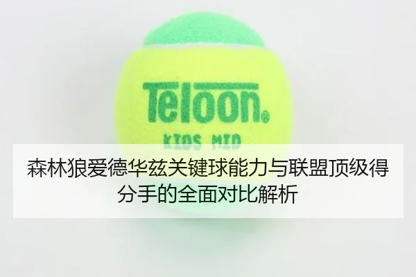 森林狼爱德华兹关键球能力与联盟顶级得分手的全面对比解析
