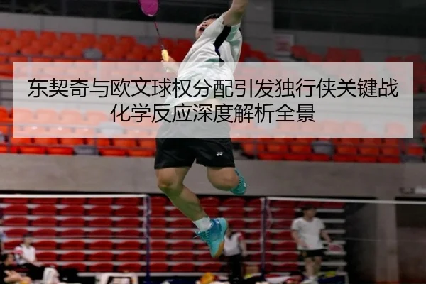 东契奇与欧文球权分配引发独行侠关键战化学反应深度解析全景